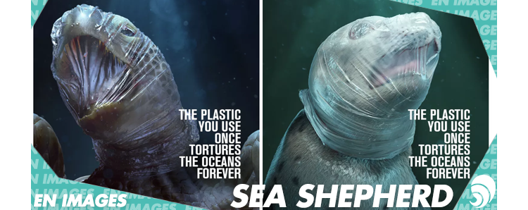 [EN IMAGES] La campagne choc de Sea Shepherd sur le plastique en mer