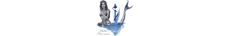About Sibylline Oceans