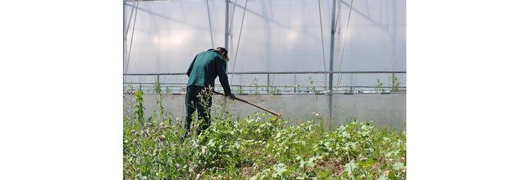 L’engagement de AccorHotels pour une agriculture raisonnée et solidaire