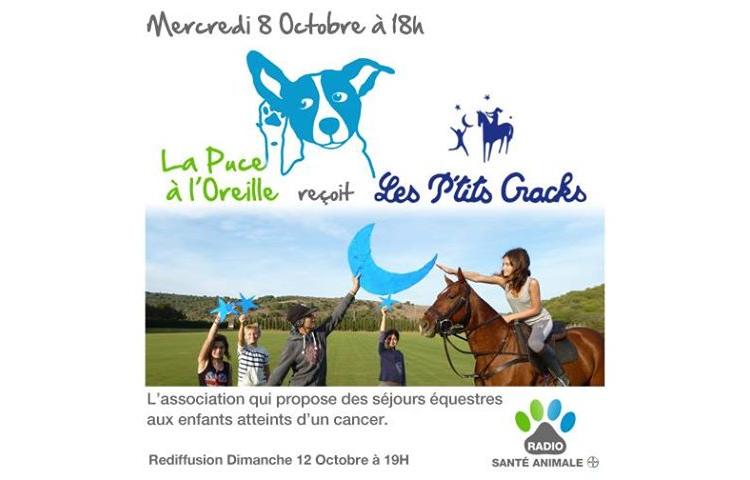 Les P'tits Cracks invités de l'émission La Puce à l'Oreille