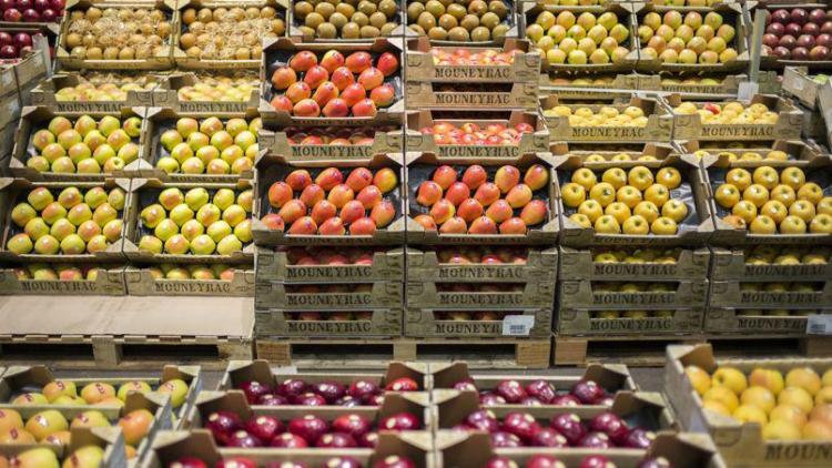 Les dons alimentaires favorisés par l'embargo de la Russie