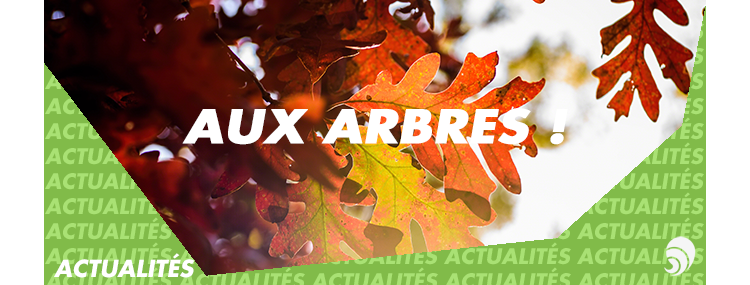 La Fondation Maisons du Monde lance "Aux Arbres!" les 8 et 9 juin 2018 à Nantes
