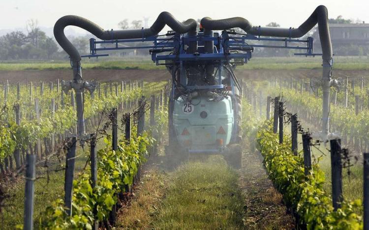 Cancers de l'enfant et pesticides : une enquête choc