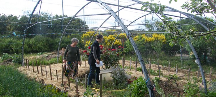 Coup de projecteur sur un système d’irrigation intelligent dans le Minervois
