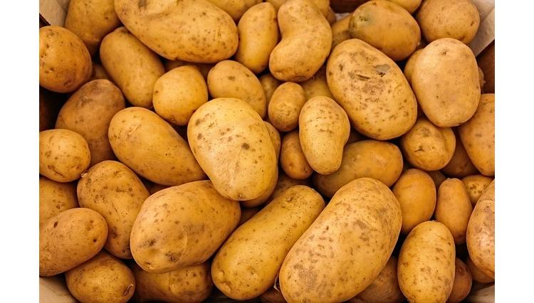 McCain fait preuve de solidarité envers les banques alimentaires