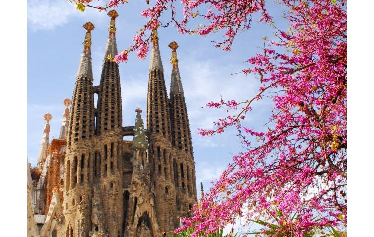 Droit animal : partenariat entre l’université de Barcelone et 30 millions d’amis