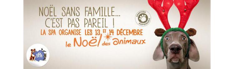 A Paris, la SPA organise un marché de Noël... de chiens