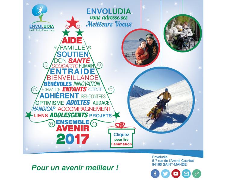 ENVOLUDIA - MEILLEURS VOEUX POUR 2017