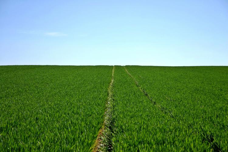 Fondation Crédit Agricole Nord de France : onze projets sélectionnés
