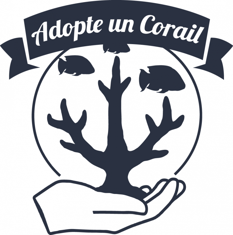 Pour les fêtes, offrez un cadeau original: adoptez un corail avec Coral Guardian