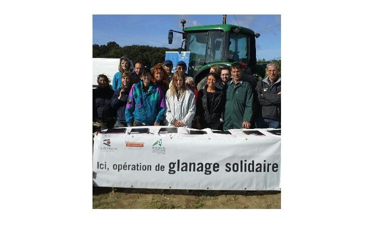 Le glanage par Horizons Solidaires
