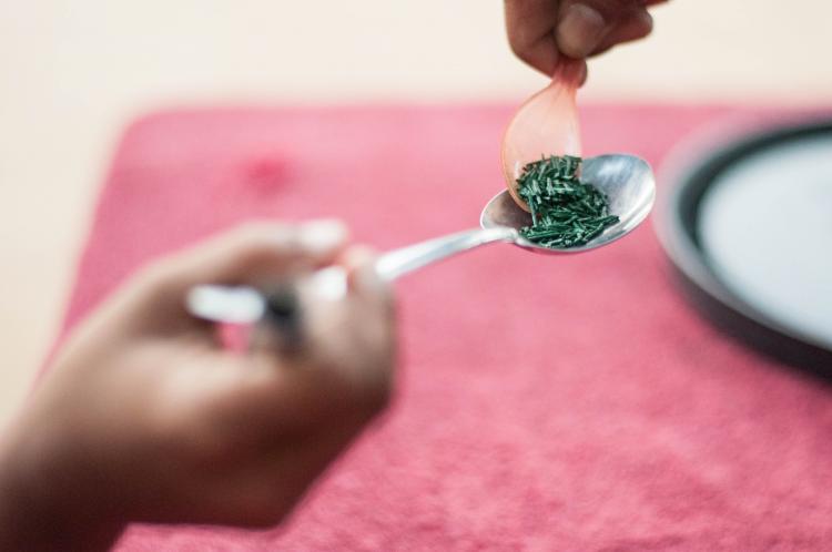 Malnutrition dans le monde : la spiruline, une solution locale