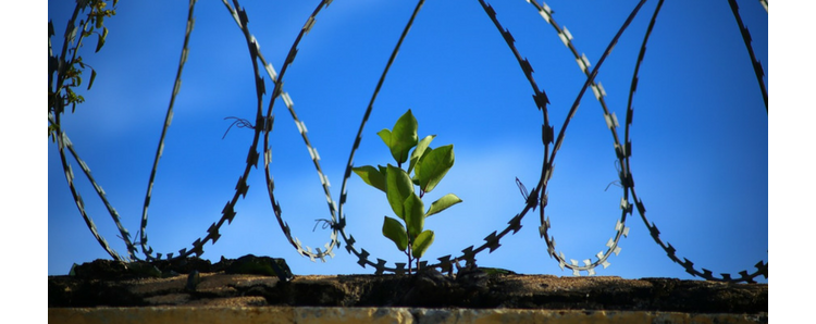 Médecins du Monde : un contrat à impact social contre l’incarcération classique 