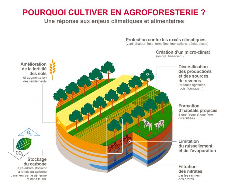 Promouvoir une agriculture durable au bénéfice de la planète