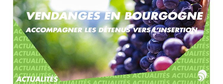 Réinsertion : un centre pénitentiaire fait participer des détenus aux vendanges