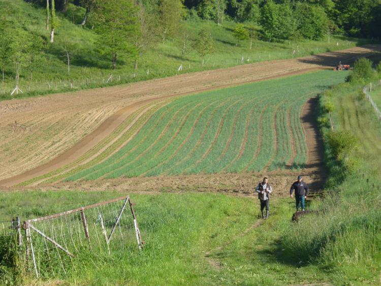 Fondation Carrefour : les appels à projets locaux