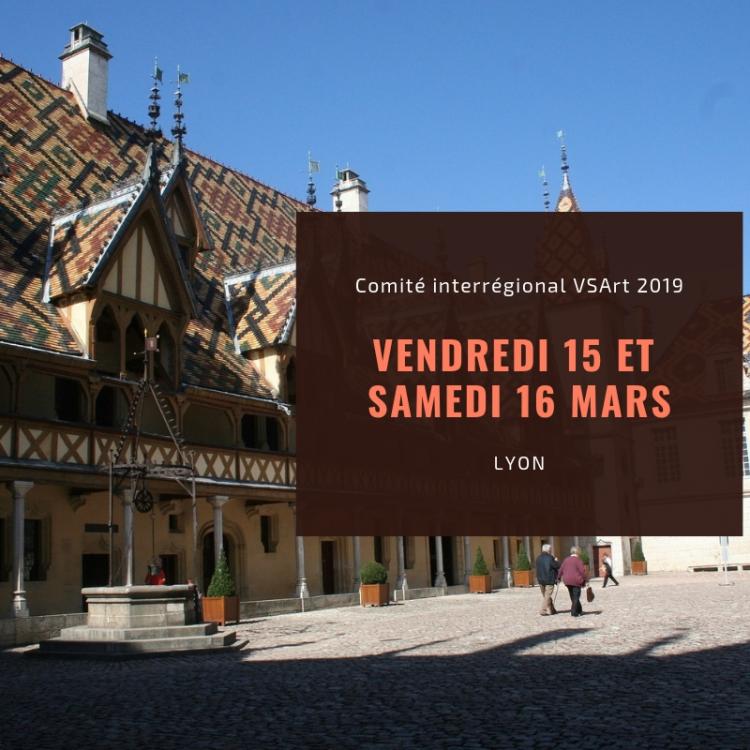 Comité interrégional 2019 des associations autonomes et antennes VSArt à Lyon.