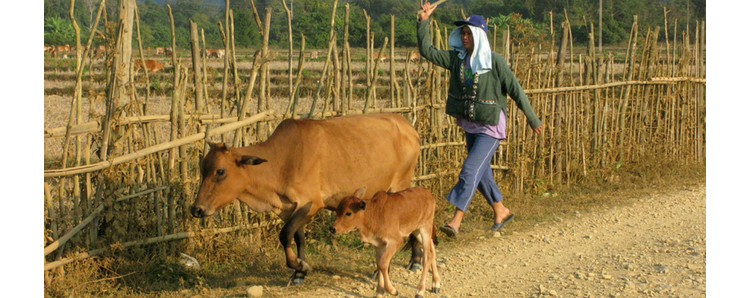 Solidarité : Handicap International se mobilise pour déminer le Laos