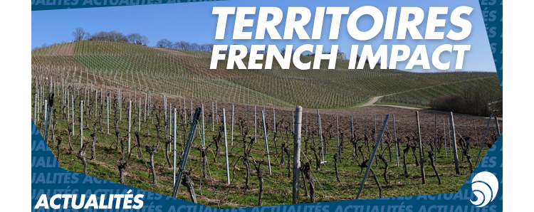 French Impact annonce les 20 premiers territoires labellisés