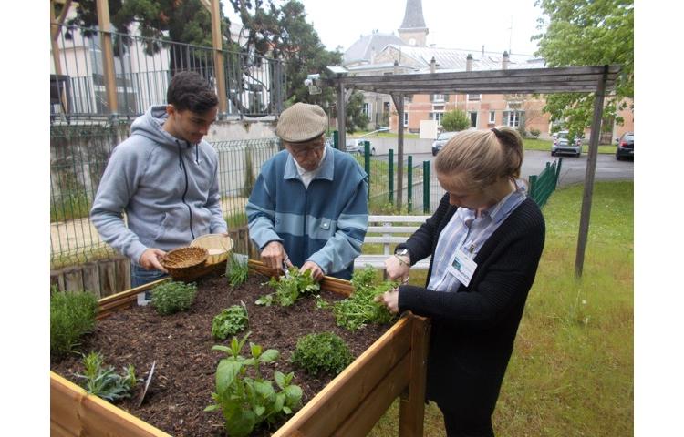 Le service civique et le Développement Durable, un même engagement !