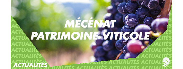 Le mécénat pour financer la restauration du patrimoine viticole de Bourgogne