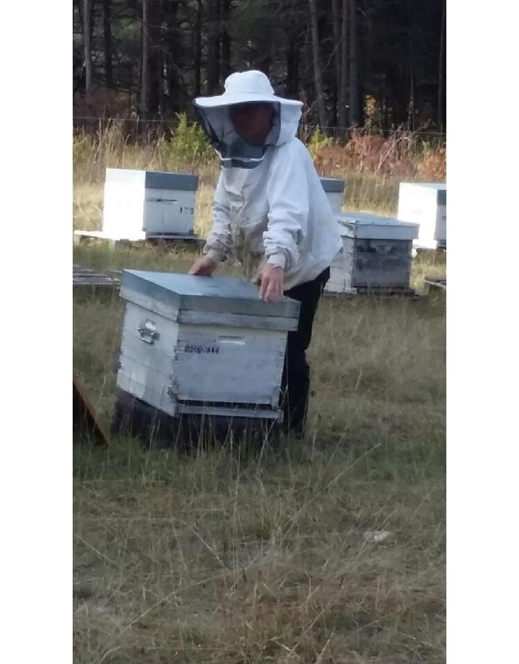 Faire de sa passion un métier : éleveuse de "reines d'abeilles"