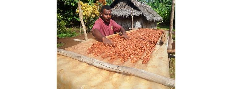 Salon du chocolat : Moli en lice pour les Cocoa Awards