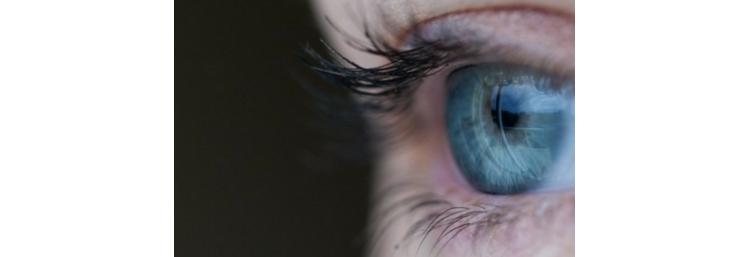 La Fondation Groupe EDF soutient l’Institut de la Vision