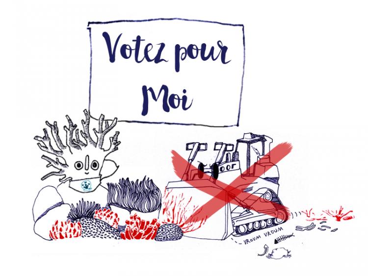 Coral Guardian s'engage contre le dragage des récifs coralliens