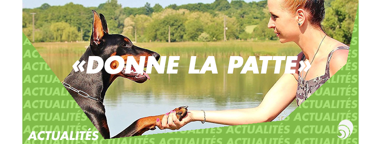Maxi Zoo lance sa collecte de fonds « Donne la patte », 3e édition
