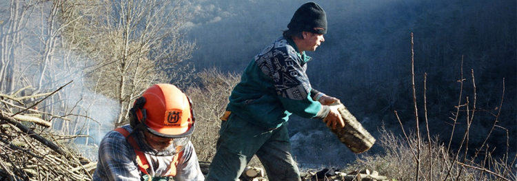 RTE ET L’ASSOCIATION TREMPLIN INSERTION CHANTIERS : UN PARTENARIAT SOLIDAIRE !
