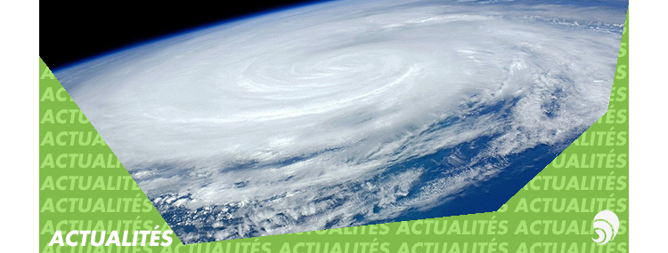 Ouragan Irma : les associations et les entreprises agissent
