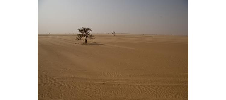 [Fiche pratique] Insécurité alimentaire dans le Sahel