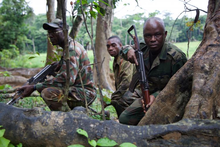 [ENVIRONNEMENT] [D'AILLEURS] République CENTRAFRICAINE :  la guerre de l’ivoire