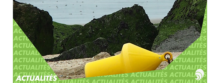 Fondation Je pars, tu pars, il part : des vacances pour tous