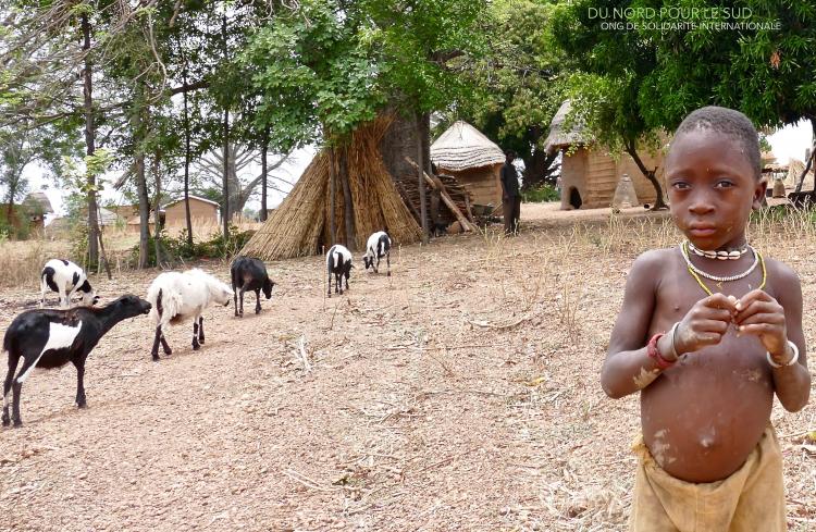 Newsletter n°12 DU NORD POUR LE SUD