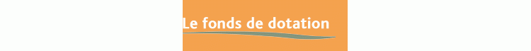 Dis Flavie : c'est quoi un fonds de dotation ? Crédit photo : Fonds Solidaires.