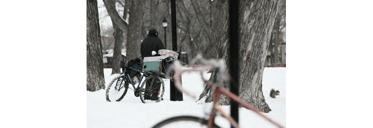 PLAN GRAND FROID : Comment pouvons-nous aider individuellement ?