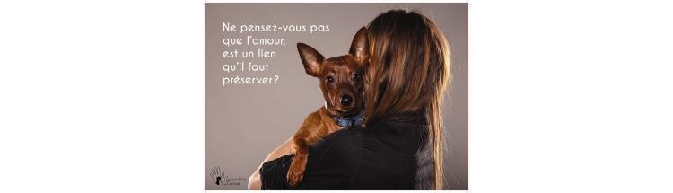 Un service de garde de chiens pour ceux qui vivent dans la rue