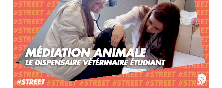 [#STREET] À Lyon, des étudiants vétérinaires soignent les animaux des sans-abri