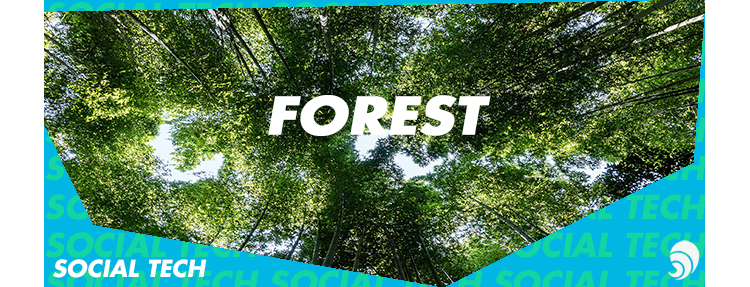 [SOCIAL TECH] Forest, une application mobile pour planter des arbres