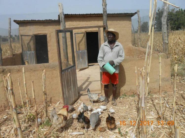 Volet 3: Togo - les PTA (Poulaillers Trad