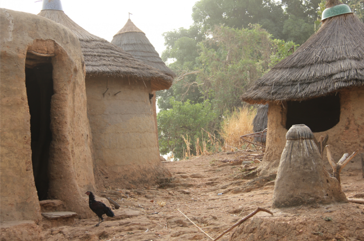 DU NORD POUR LE SUD et la Fondation BATAMMARIBA au Togo en 2015