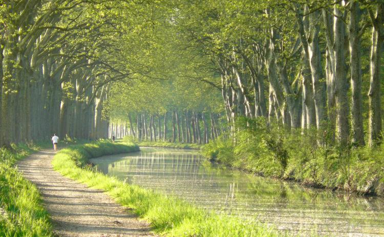 Impressionnante campagne de mécénat pour le Canal du midi