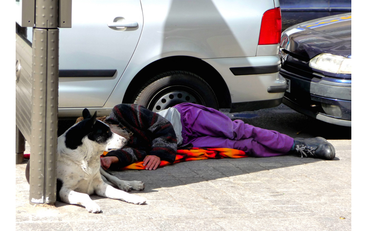En Belgique, le prince s'occupe des chiens des SDF