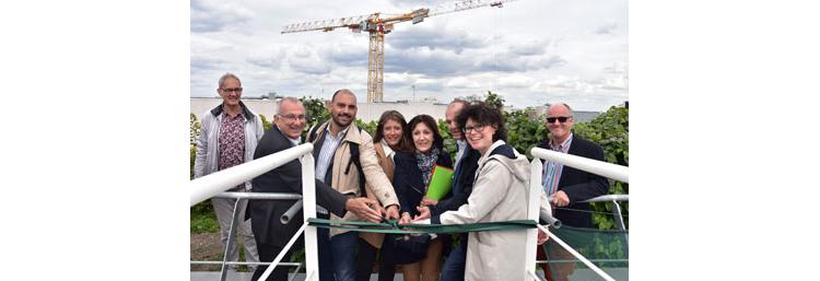 Agriculture urbaine : comment les villes renouent avec la terre