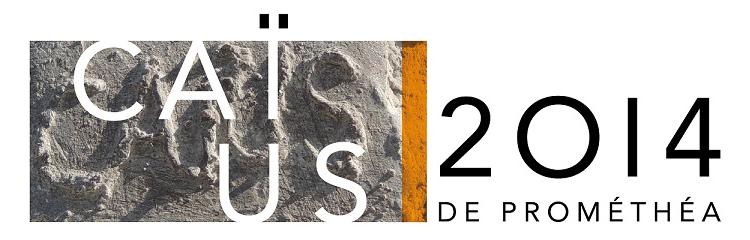Les Caïus : les prix du mécénat en Belgique