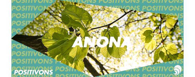 [POSITIVONS] Anona : une forêt plantée en 24 h grâce aux dons des internautes