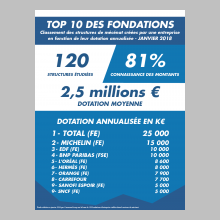 TOP 10 DES FONDATIONS PAR DOTATION ANNUALISÉE