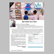 "Nouvelles Brèves" : la lettre d'informations de VSArt